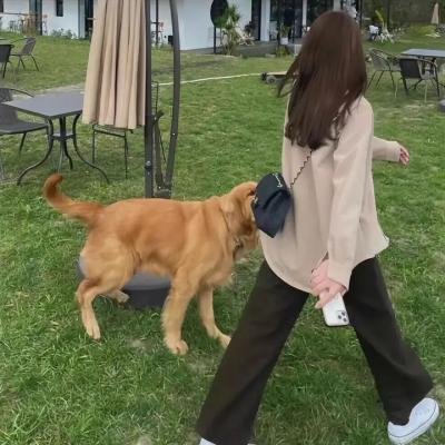 阴阳跨界人
